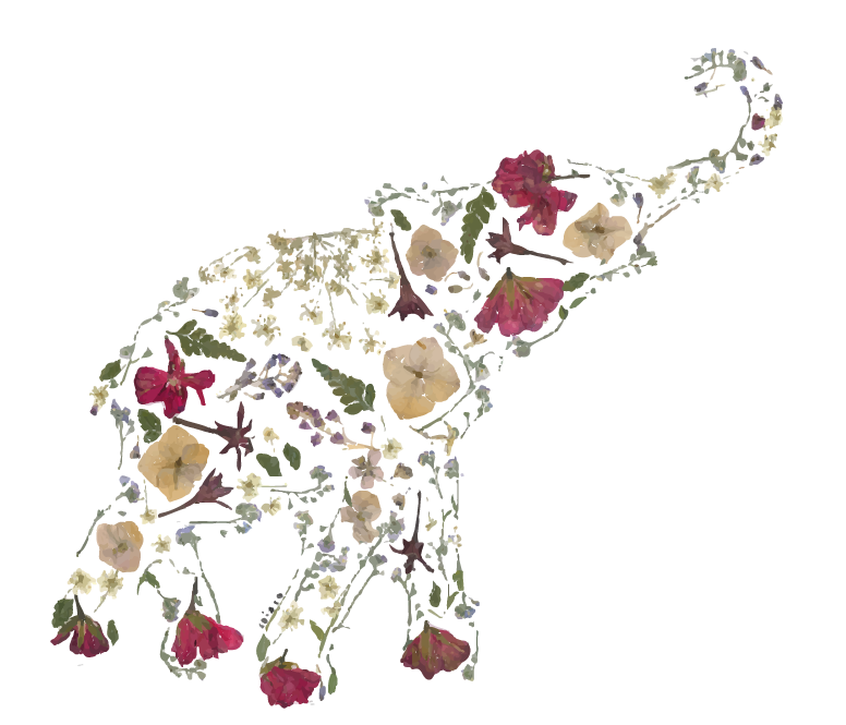 Filothei Botanical Jewels