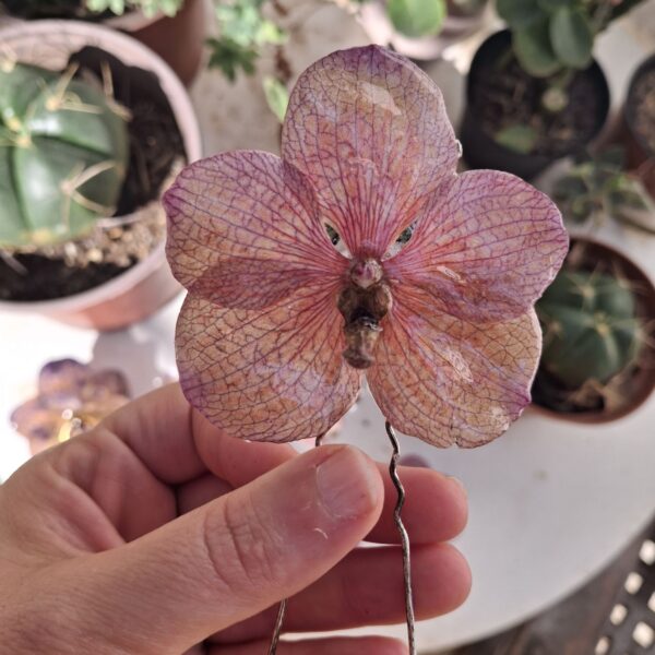Vanda Orchid — Side Comb (Pink)