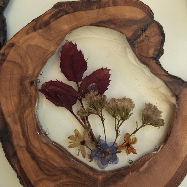 Barberry — Olive Wood Slice Necklace