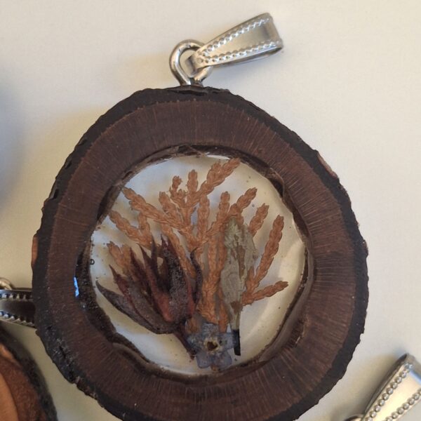 Cypress-like — Dark Wood Slice Necklace
