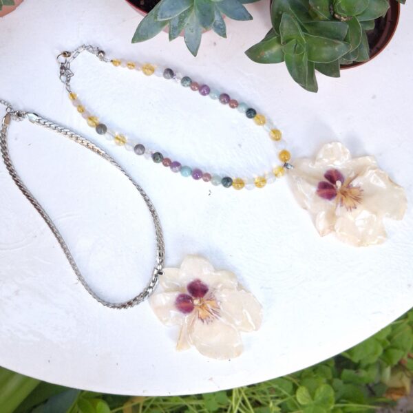 Miltoniopsis — Necklace
