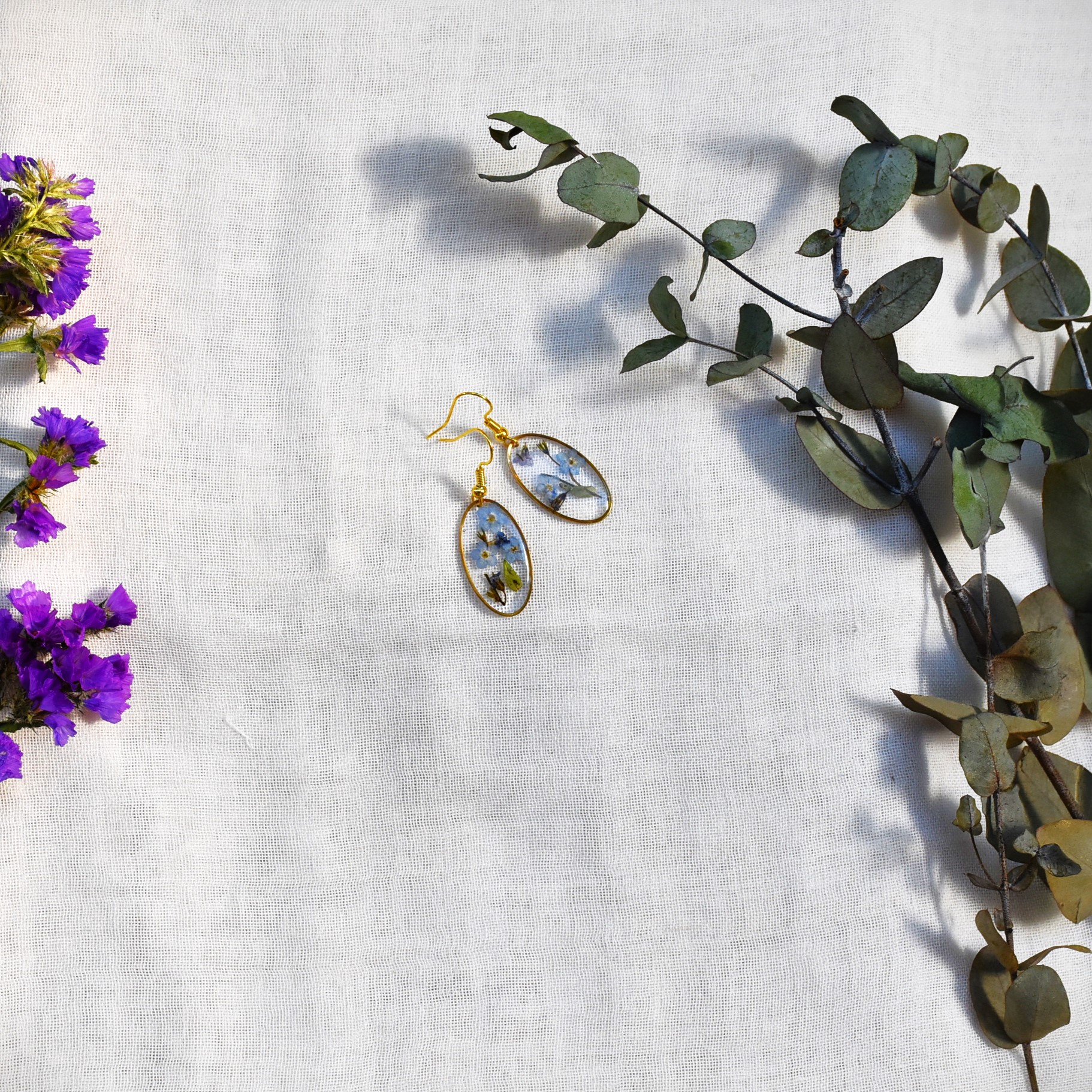 Forget me Not