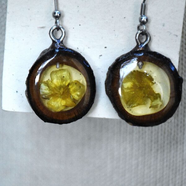 Buttercup â Cedar Wood Earrings
